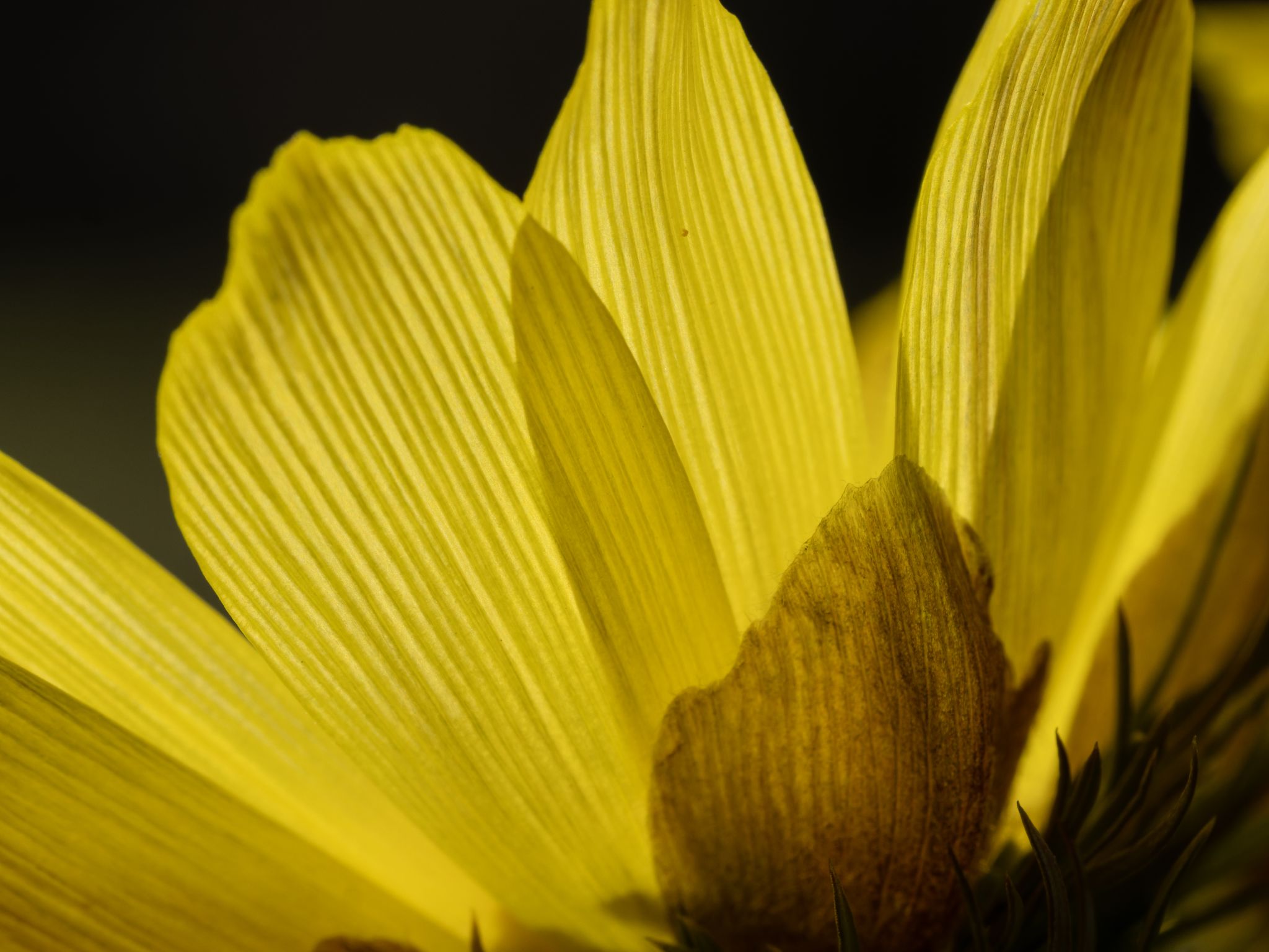 101 260416 1454 J  2JR1295 DxO DeepPRIME 3